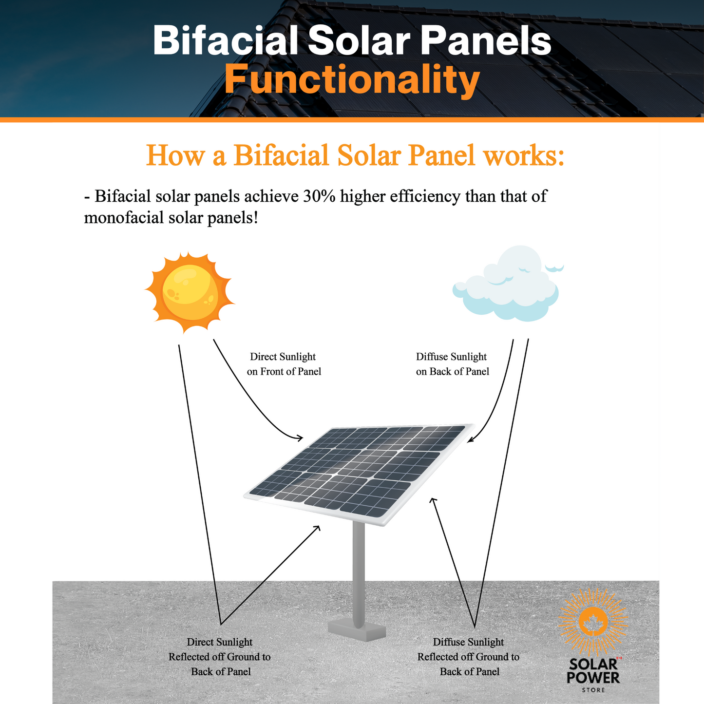 Maple Leaf 180W Mono Rigid Solar Bi-facial Panel - All Black | W/ IP67 Junction Box | IP67 MC4 Cable | Lightweight With Monocrystalline Cells